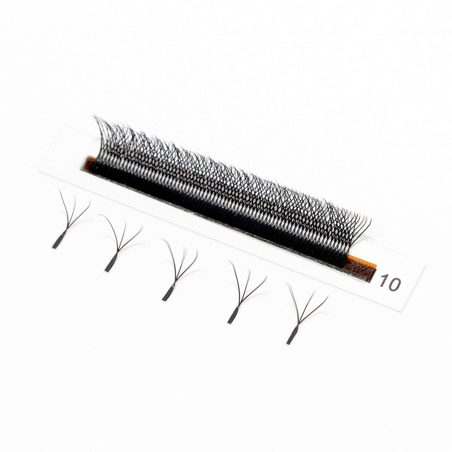 Close up of the W Lashes fans.