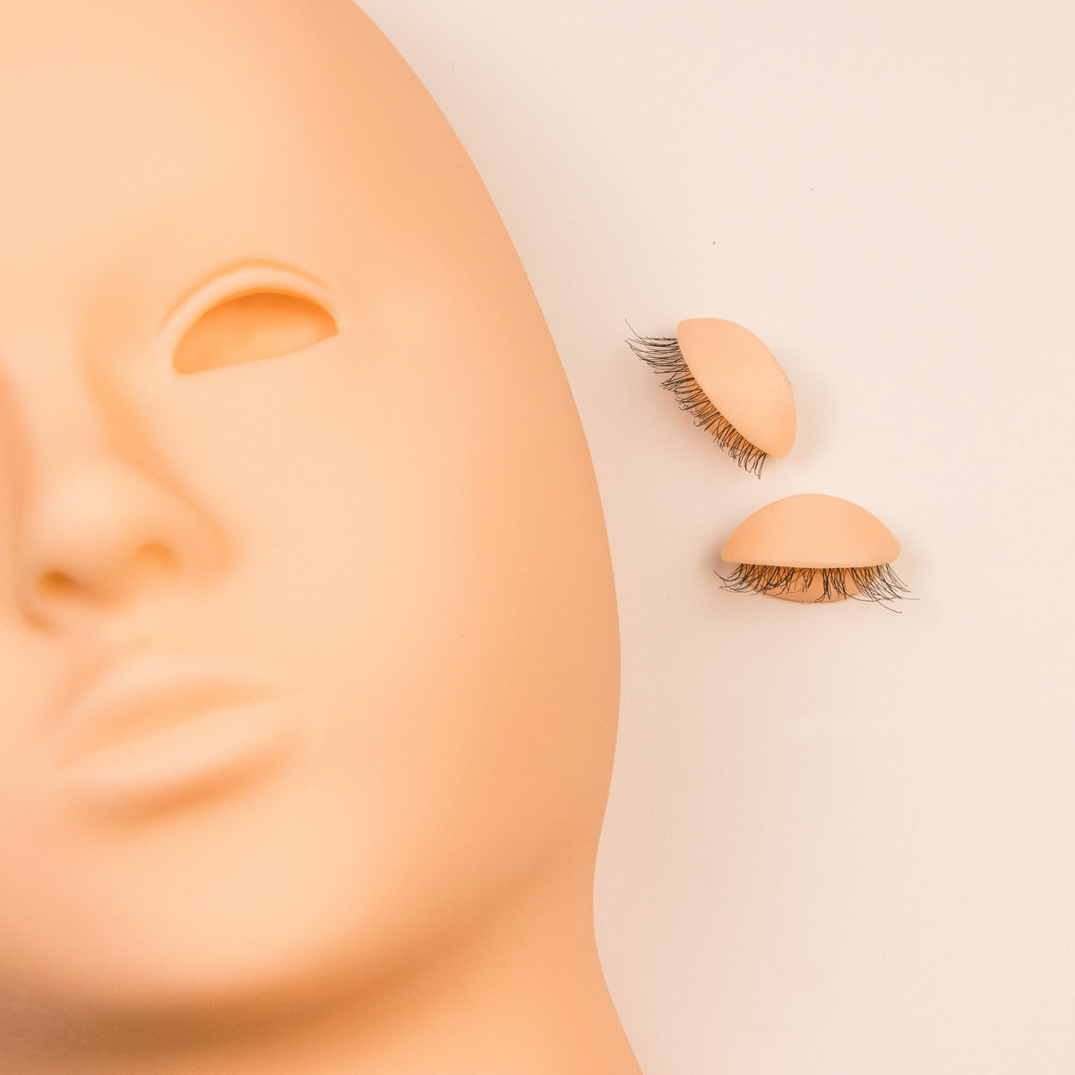 Where to fit the Replacement Lids for Mannequin Head
