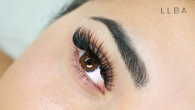 4 Common Types of Wispy Lash Map