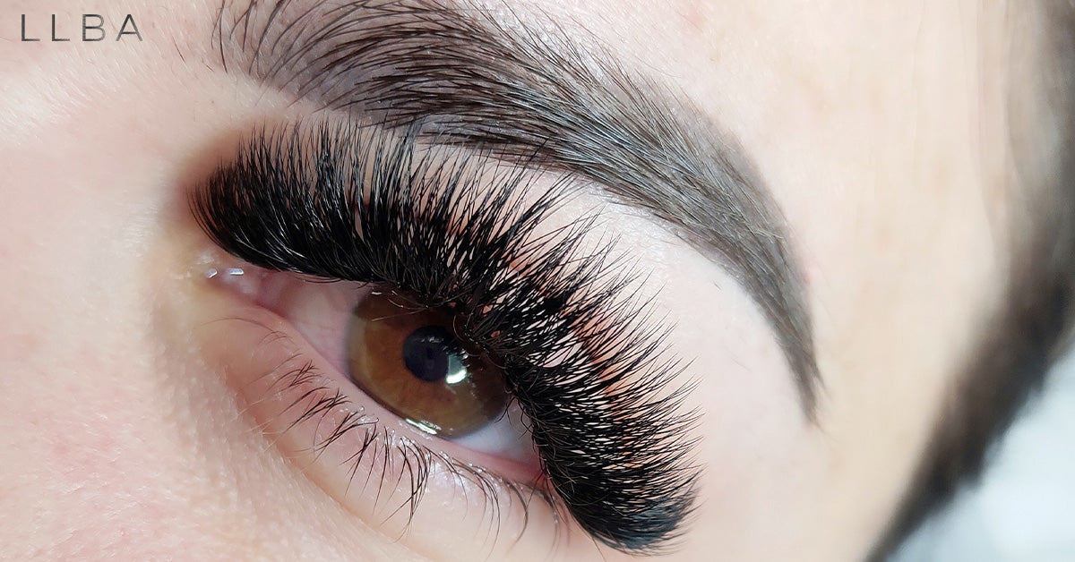 A Full Guide To Eyelash Extensions Mega Volume – CURACORO USA