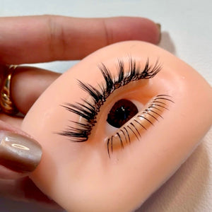 Eye Practice Model