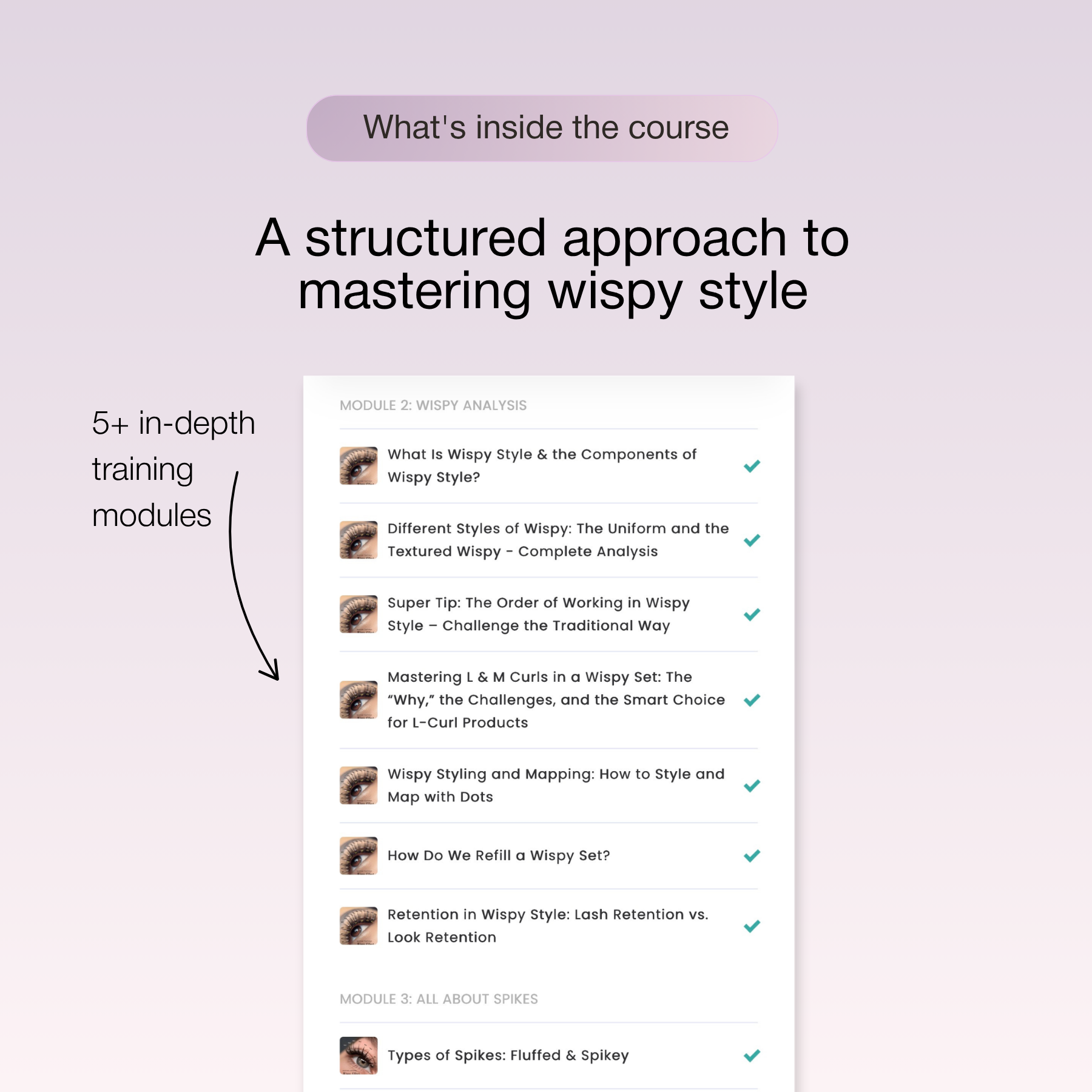 Wispy Design Lash Online Training