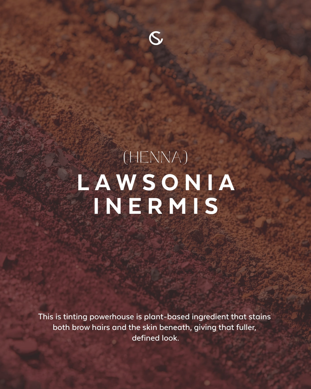 Supercilium Brow Henna Dye - Dark Brown