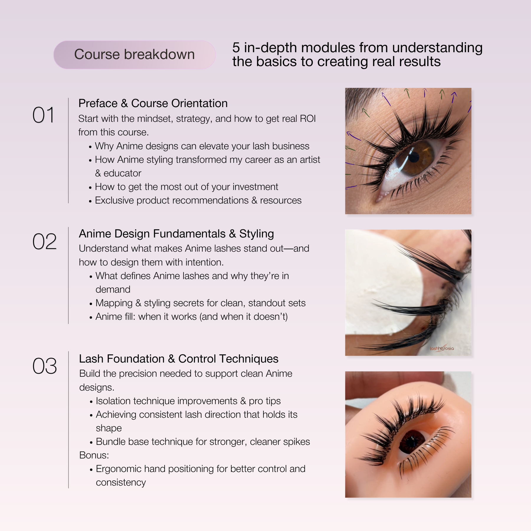 Anime Lash Online Training