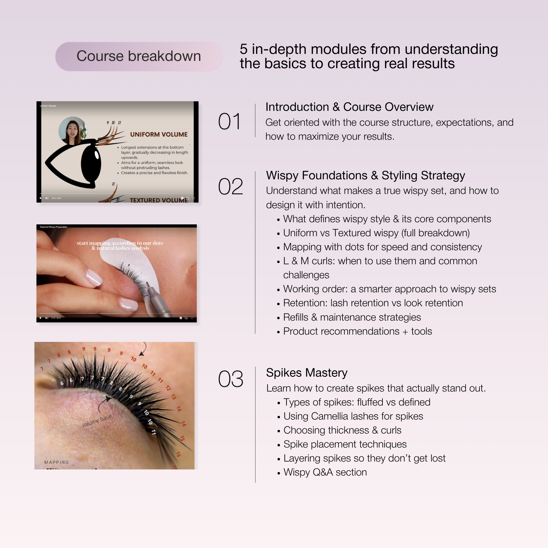 Wispy Design Lash Online Training