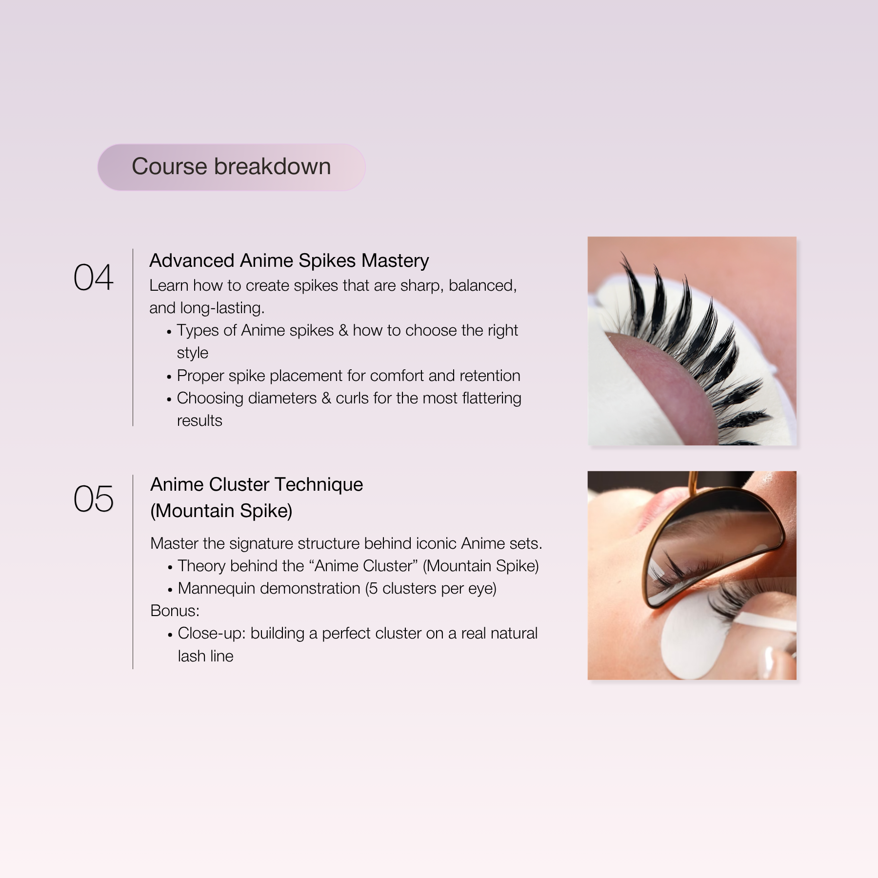 Anime Lash Online Training