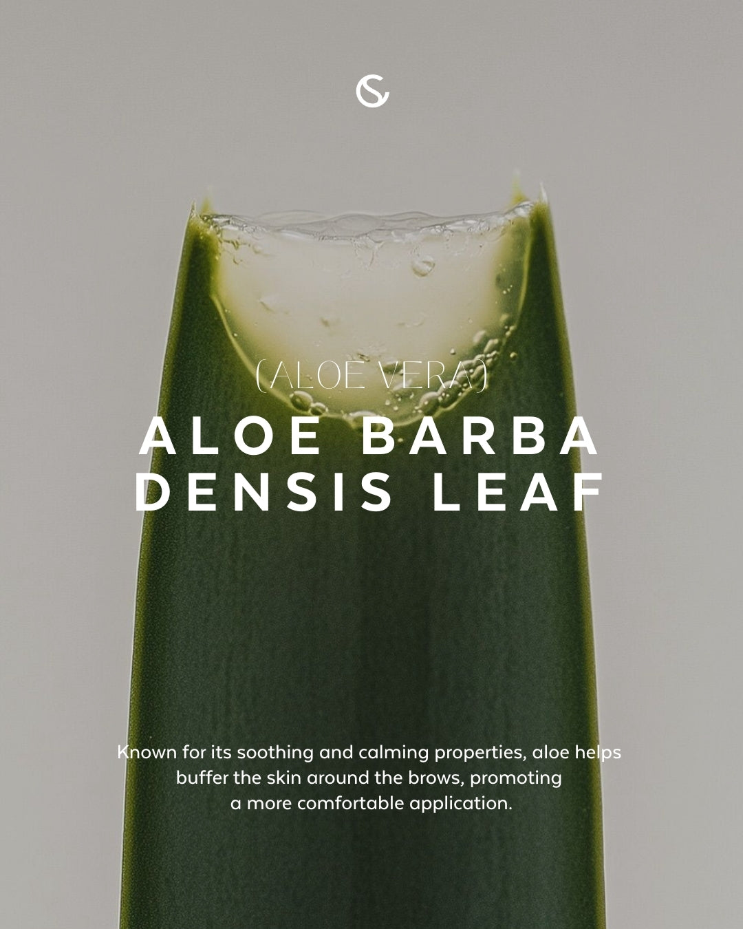 Supercilium Brow Henna Dye - Blonde Henna