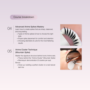 Anime Lash Online Training