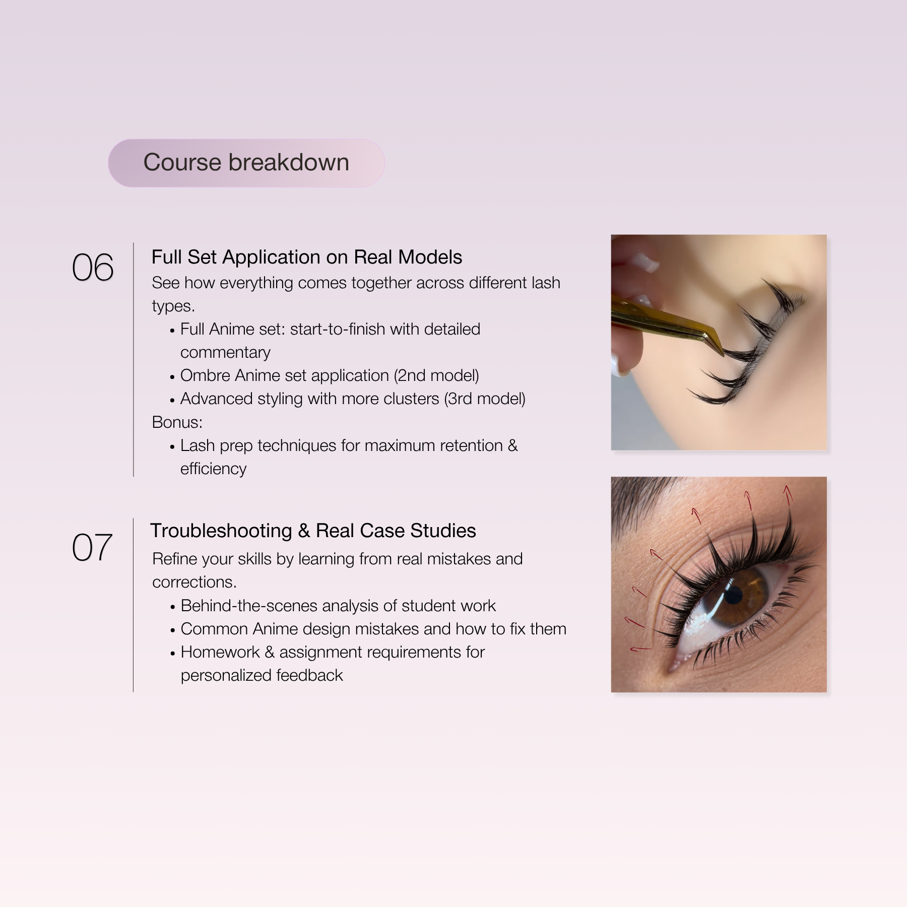 Anime Lash Online Training