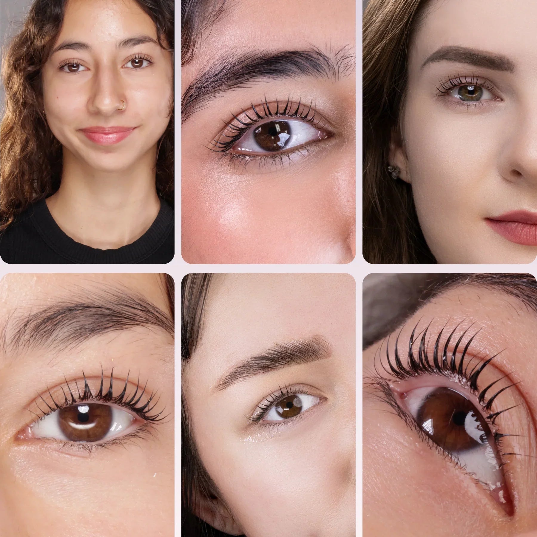 In-person Lash Lift Training: One Day Masterclass: Traditional | Glueless | Korean Lash lift Methods!