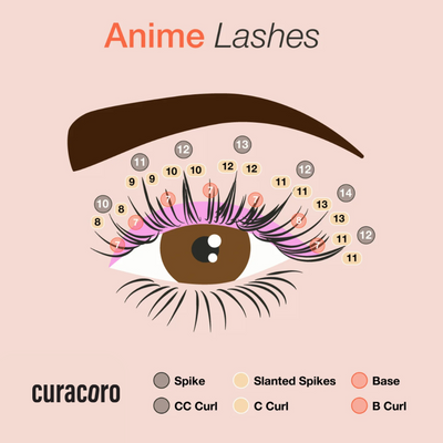 Anime Lashes infographic