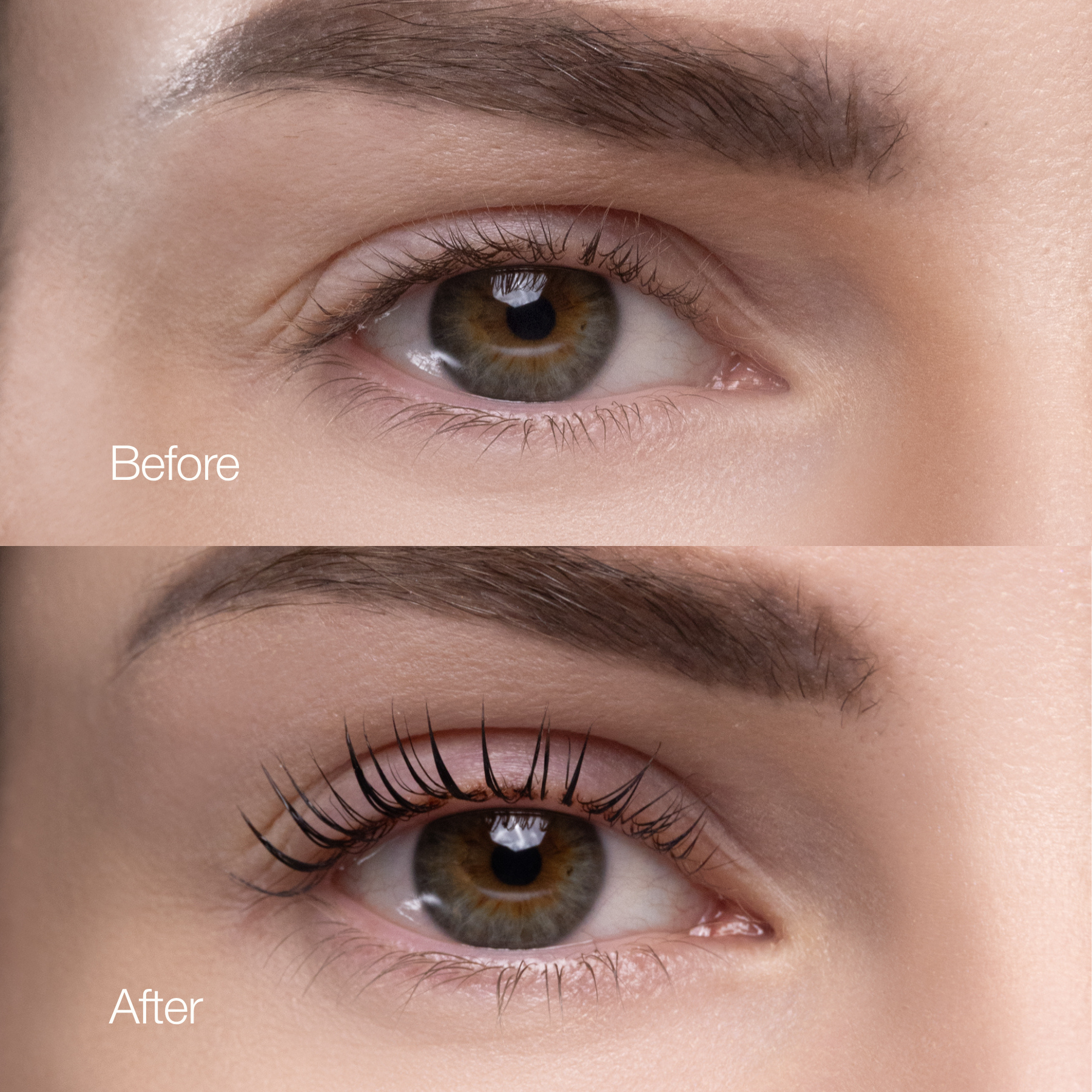Lash Lift Mastery: From Beginner to Pro (2026 updated)