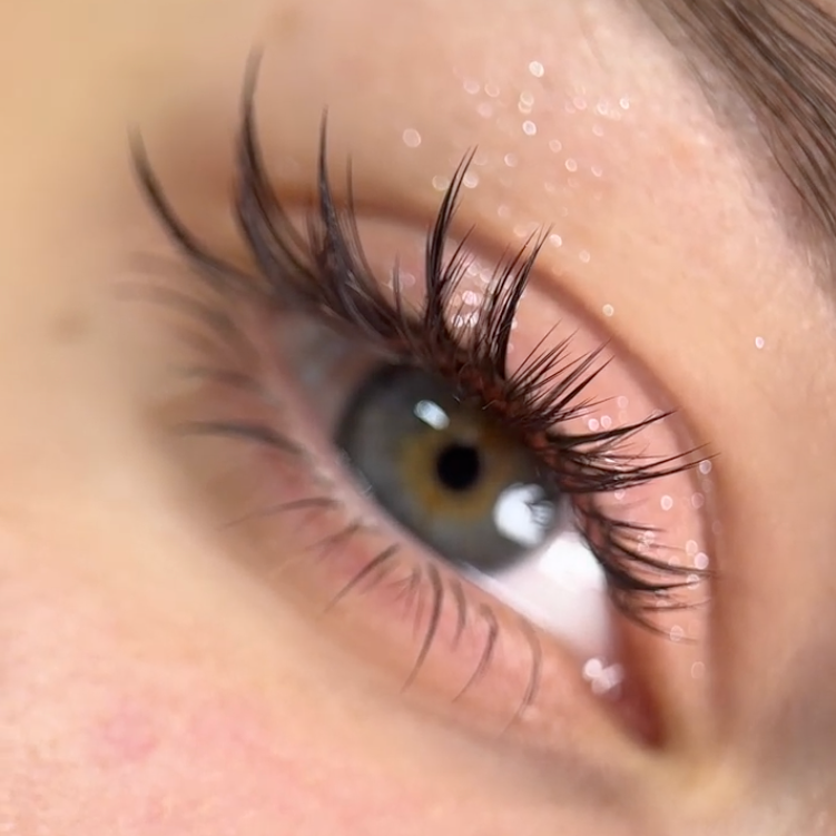 Camellia Super Mink Textured Lashes - Dark Brown 0.07mm