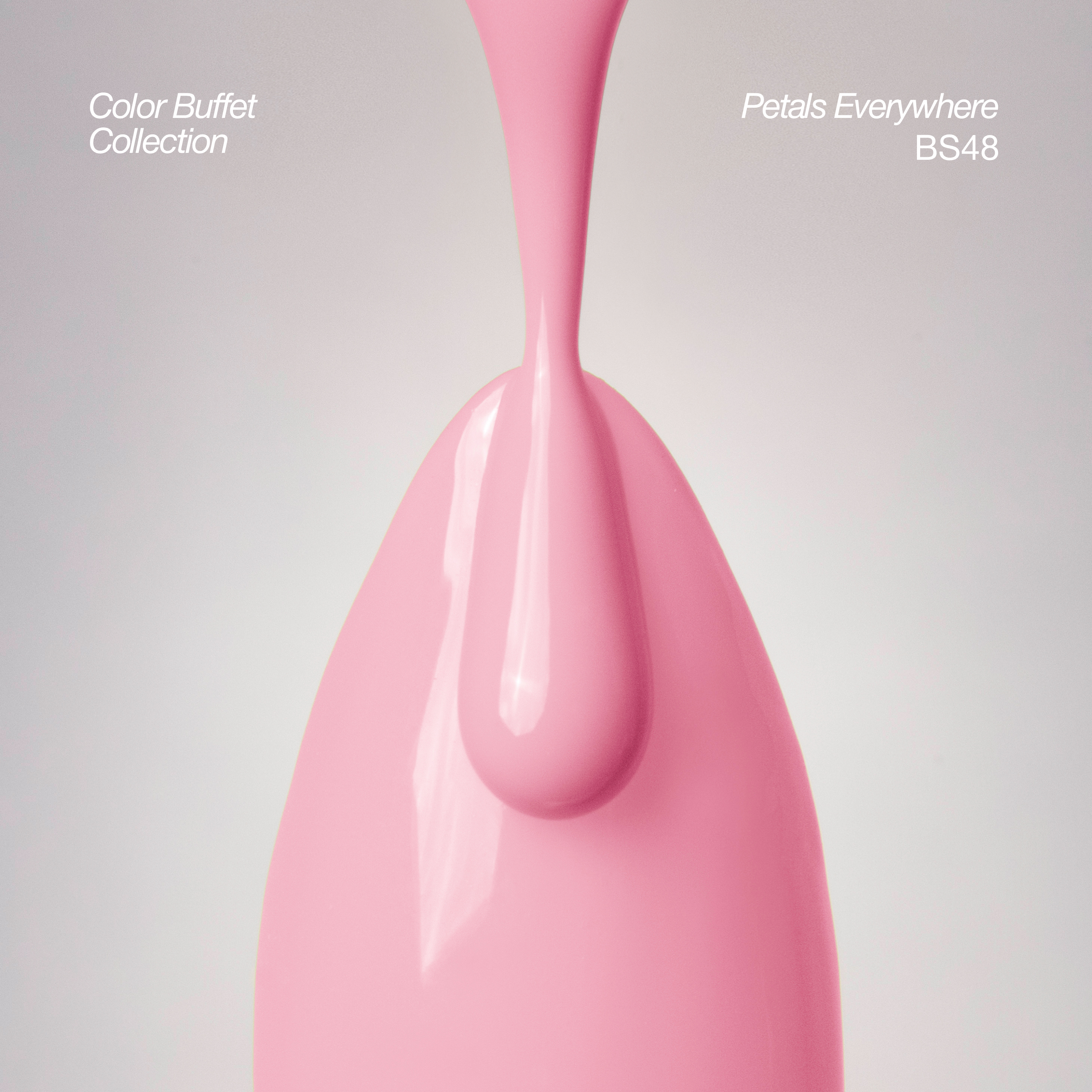 BS48 - Petals Everywhere