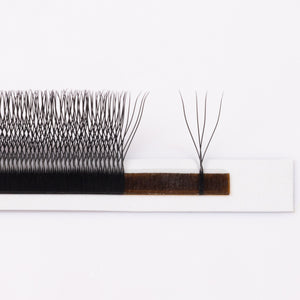 4D U-Shaped Lashes