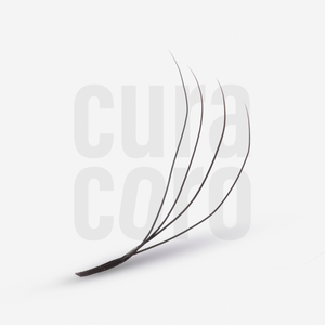 4D U-Shaped Lashes