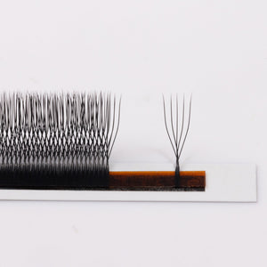 5D U-Shaped Lashes