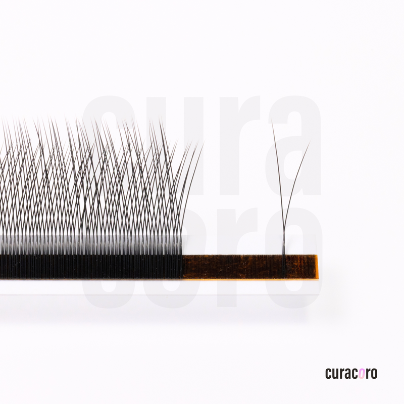 Daisy YY lashes