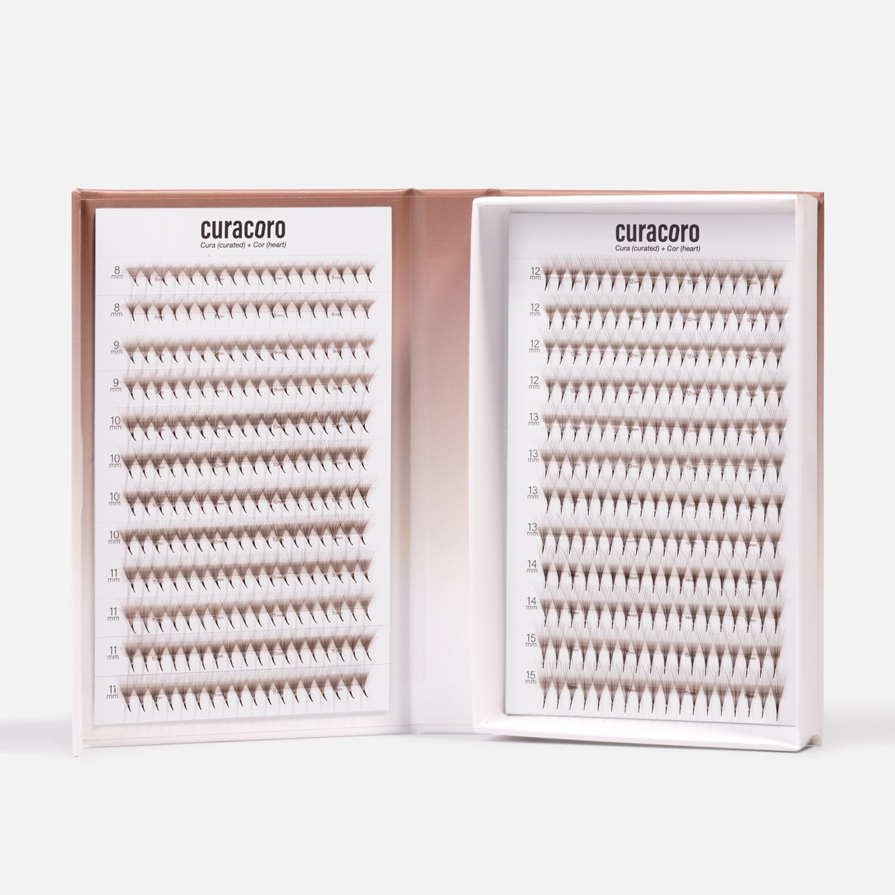 Dark Brown Lashfolio Narrow Promade Fans 10D (480 fans)