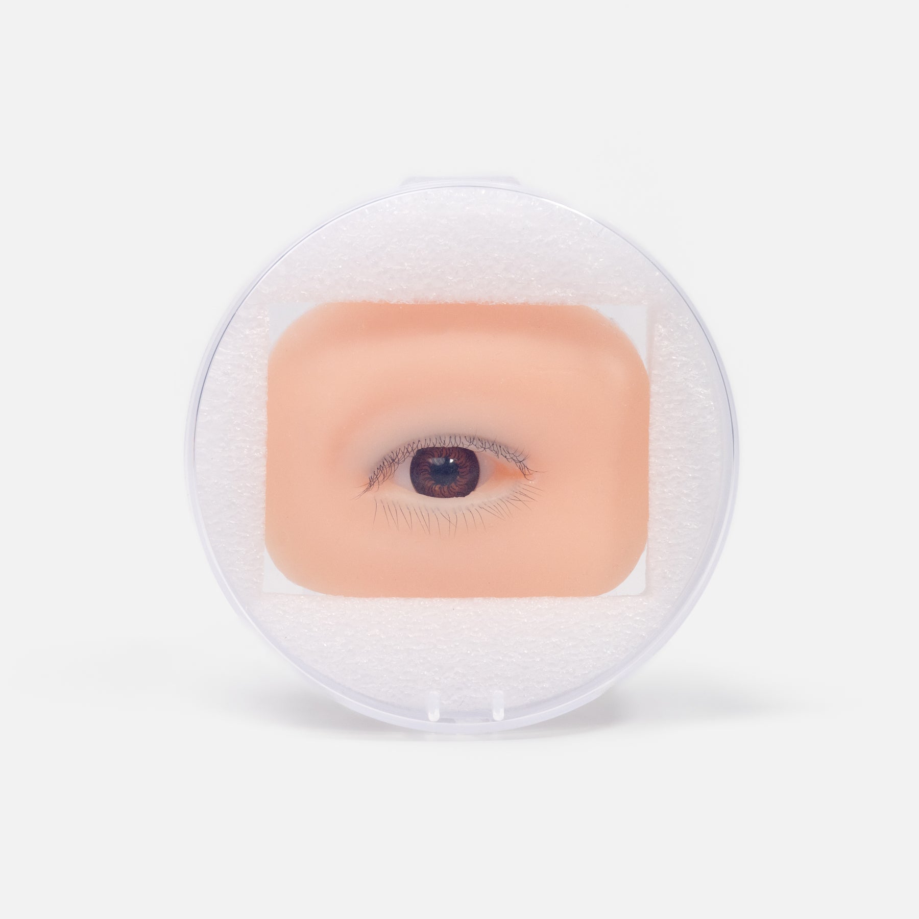 Eye Practice Model for Lash Training | Realistic Eyelash Simulation – Curacoro