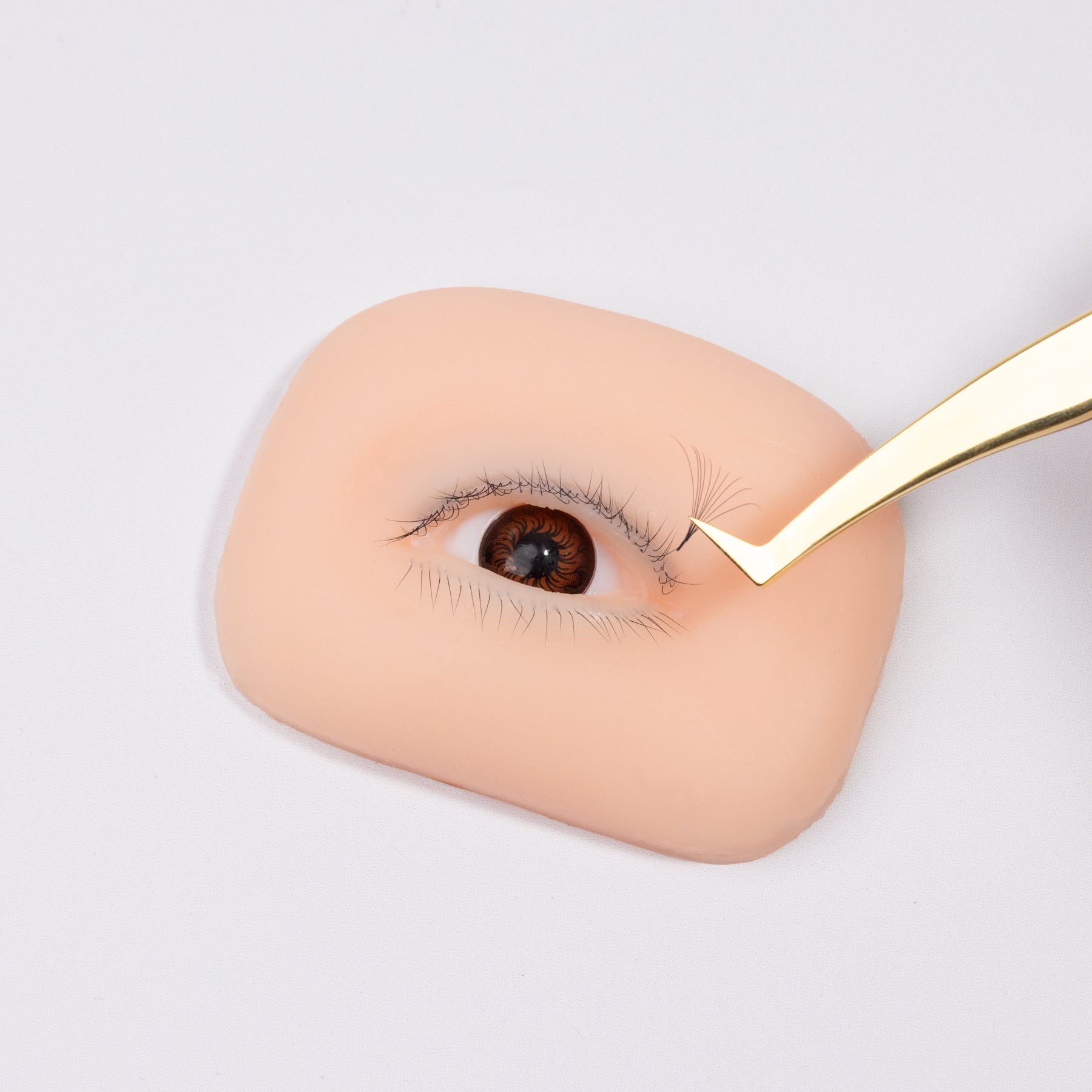 Eye Practice Model for Lash Training | Realistic Eyelash Simulation – Curacoro
