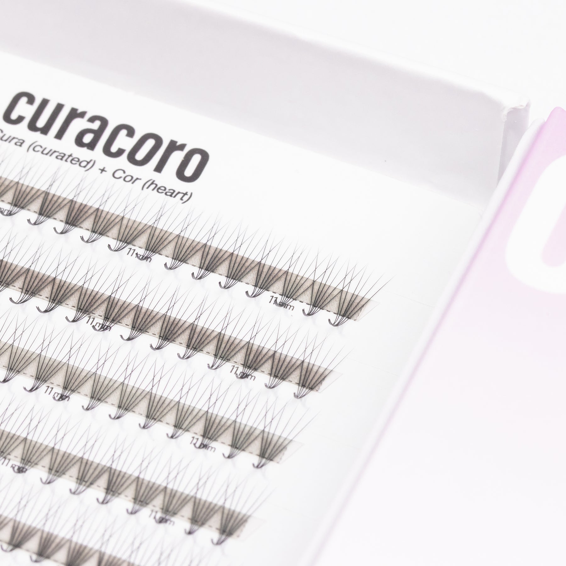 LashFolio Promade Fans 6D 0.07 – M Curl (504 Fans)