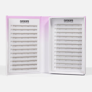LashFolio Narrow Promade fans 5D 0.07 (LB & LC curl) (504 fans)