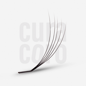 LashFolio Narrow Promade fans 5D 0.07 (LB & LC curl) (504 fans)