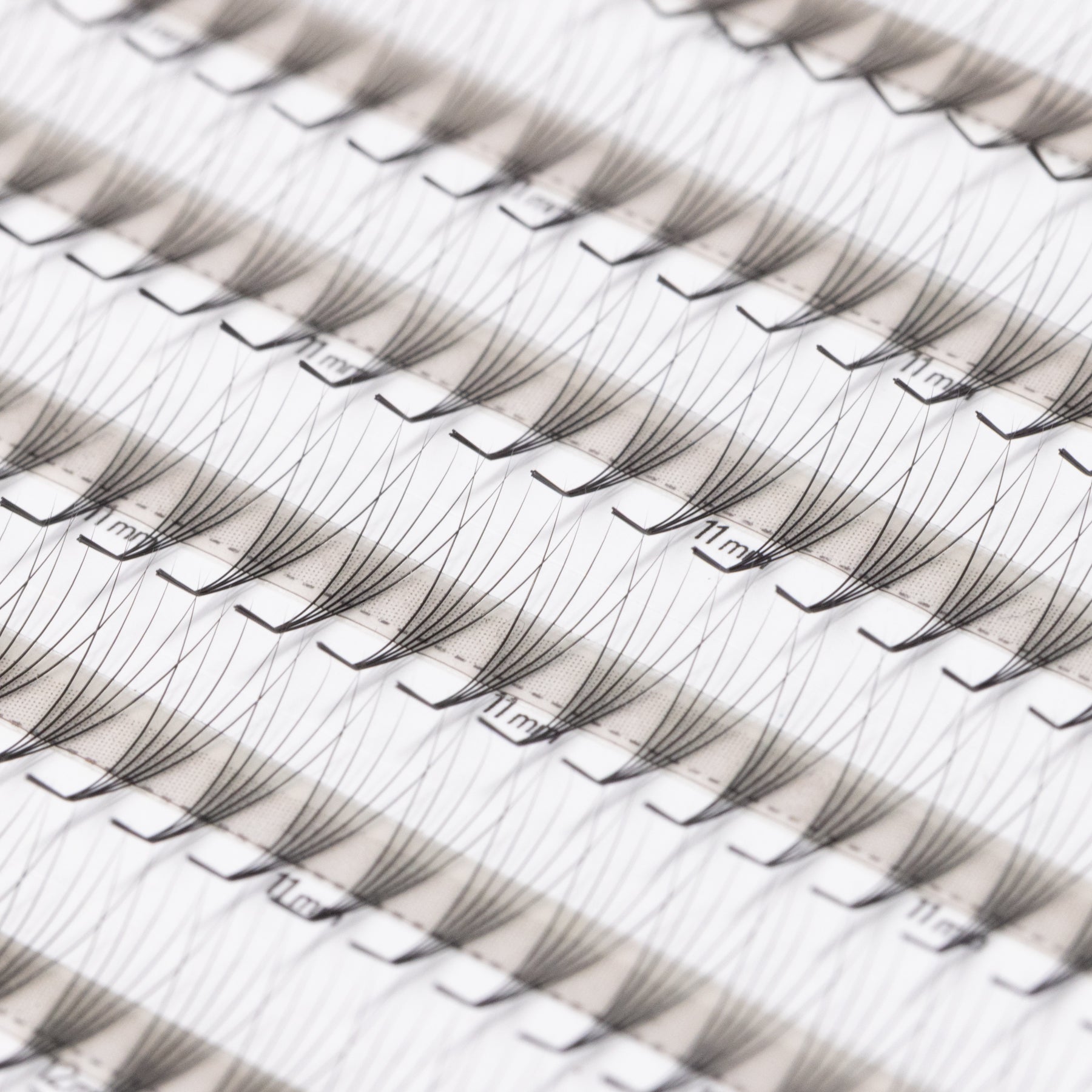 Abanicos LashFolio Promade 5D (curva L) 