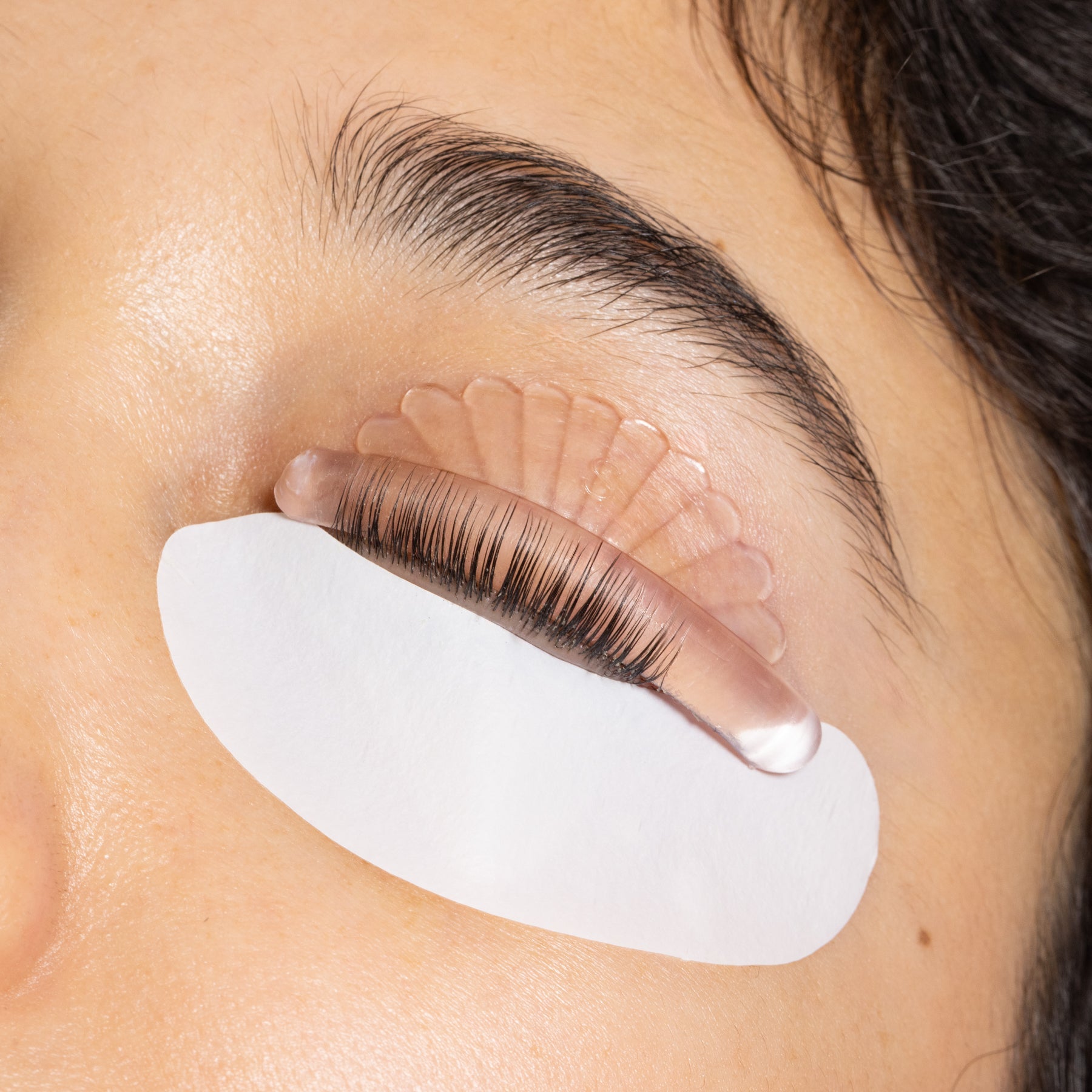 Lash Lift Shields - Coral Crest