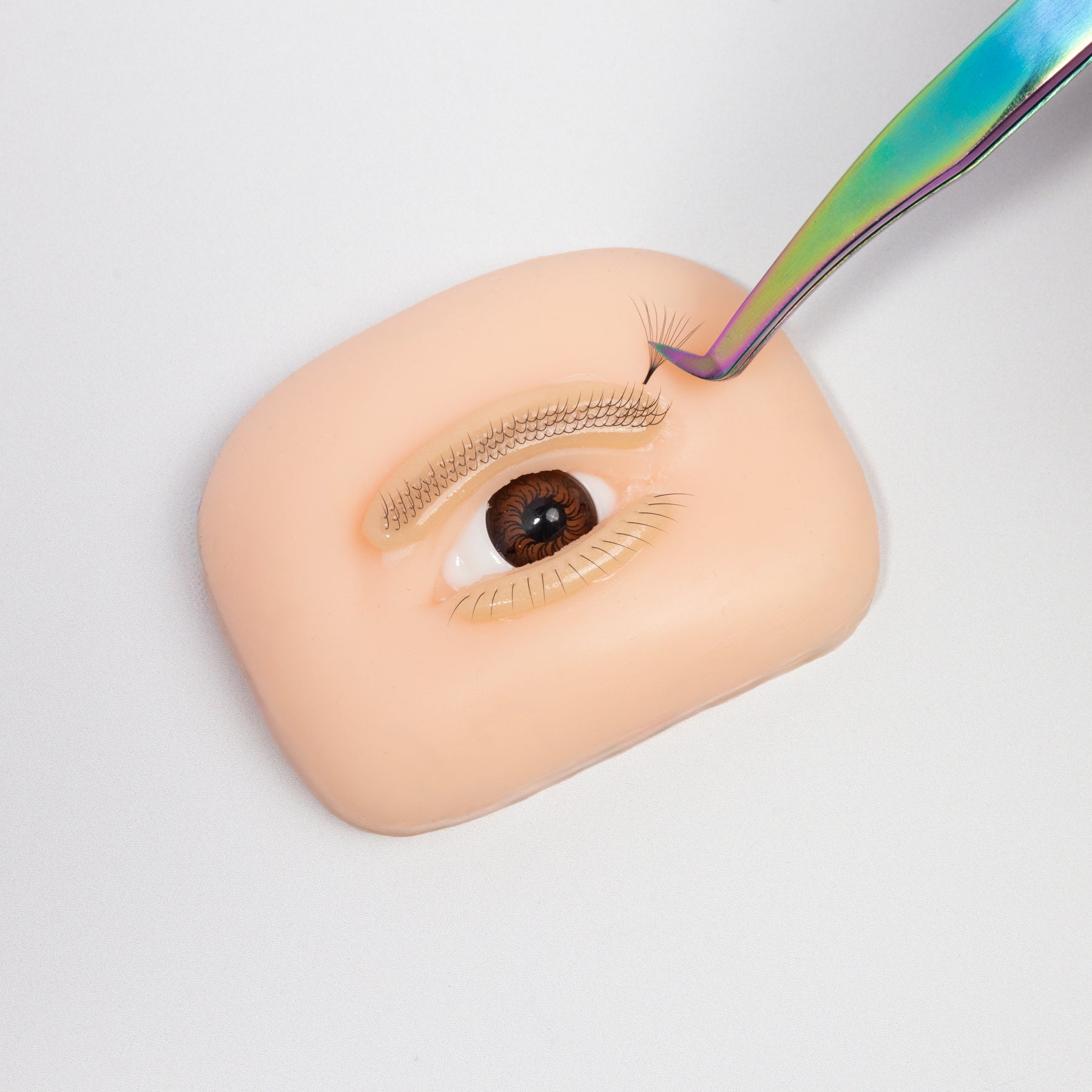 Eye Practice Model for Lash Training | Realistic Eyelash Simulation – Curacoro