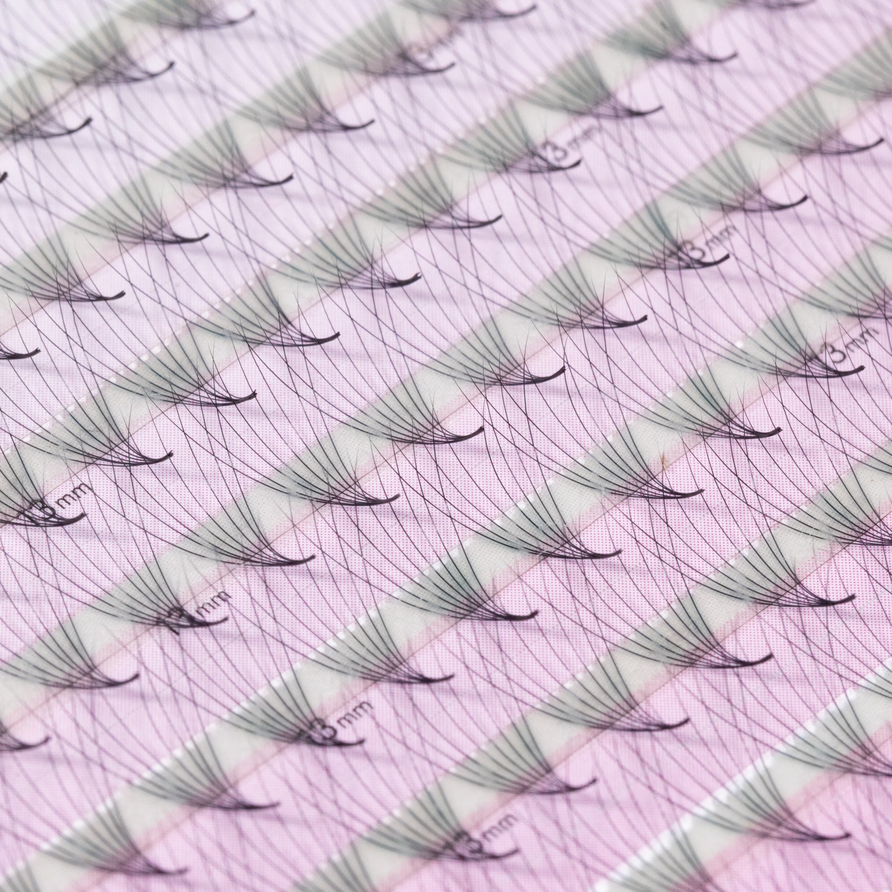 Jumbo Saving XL Promade Tray 8D 0.05 (1,000 fans)