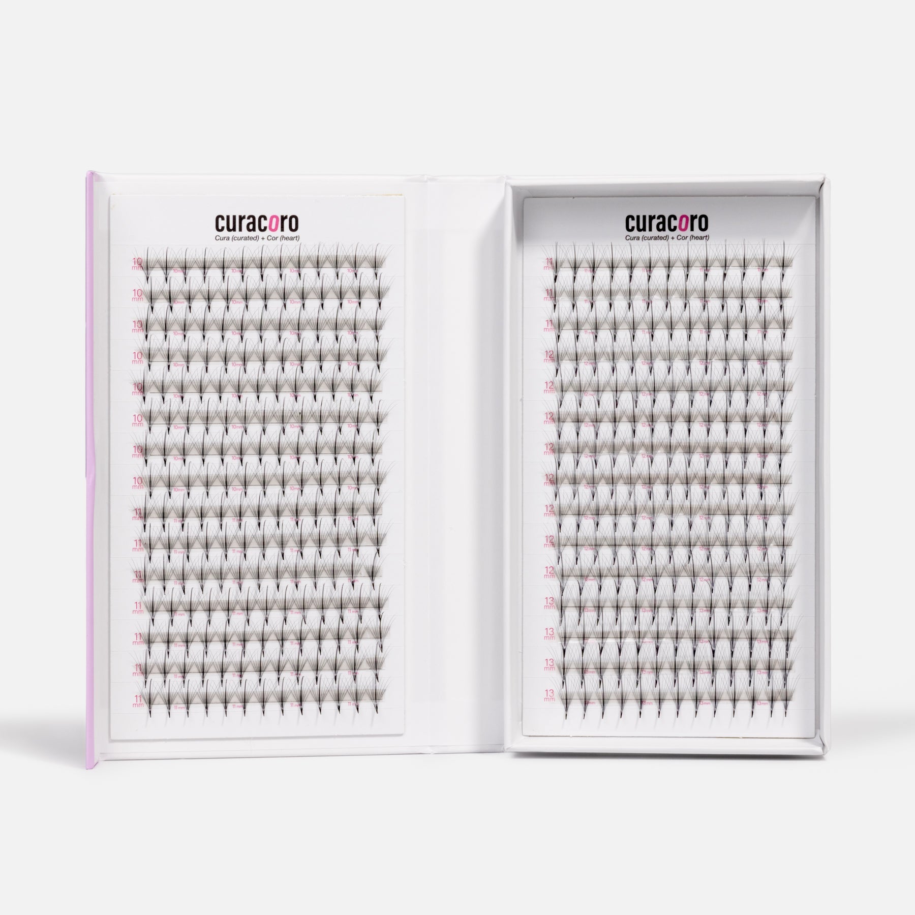 XL Lite Camelia + Wispy 9D 0.05