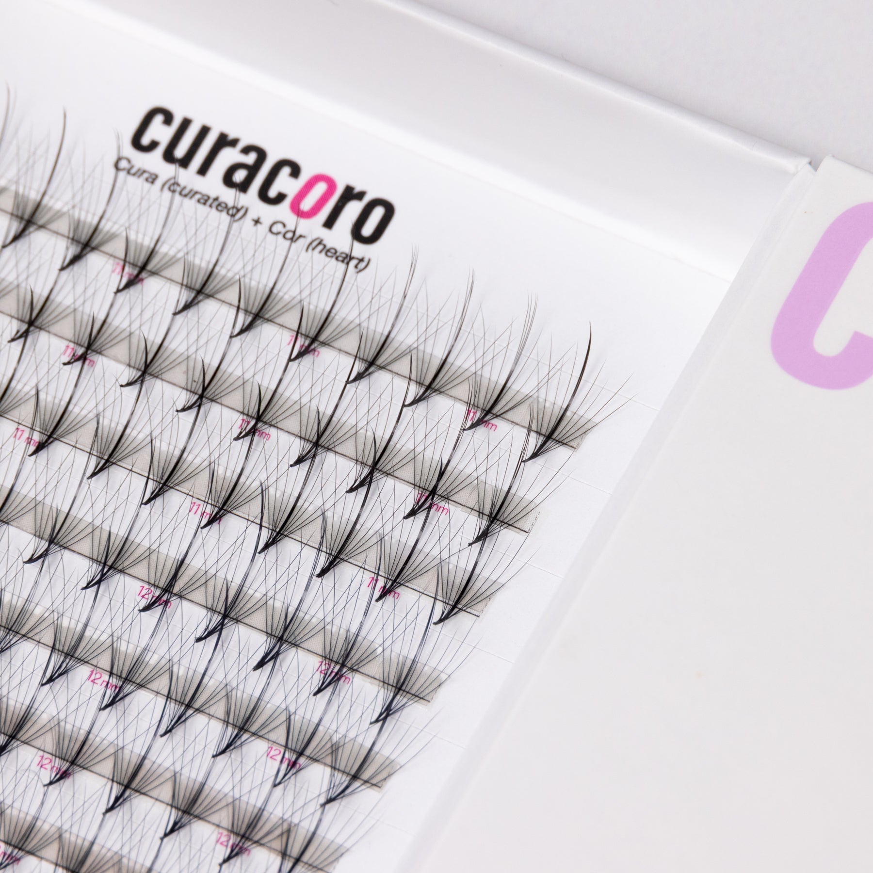 XL Lite Camelia + Wispy 9D 0.05