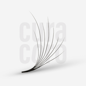 XL Lite Camellia Promade Fans 5D 0.07 (450 fans)