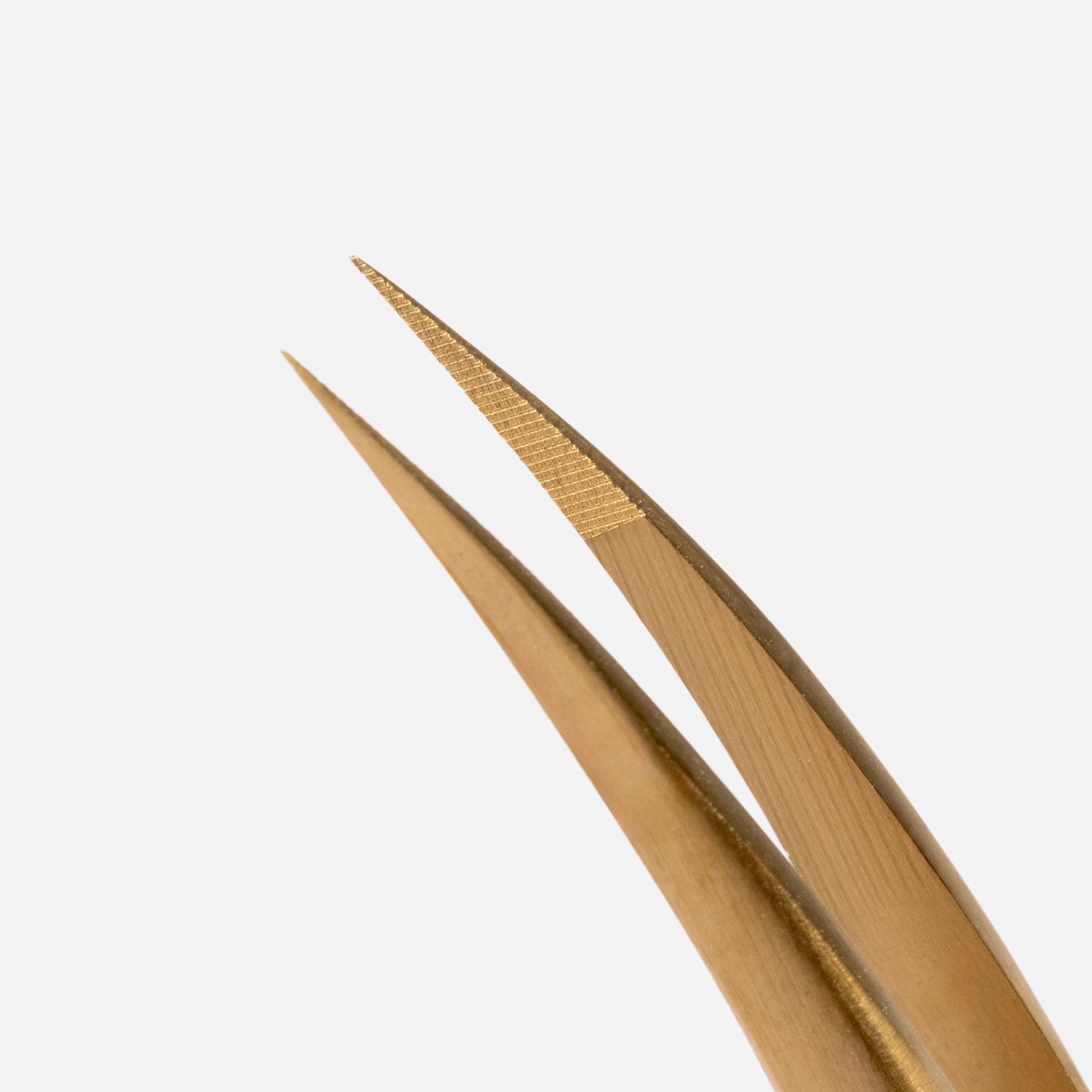 Moonlight Curve Isolation Tweezer – Precision Lash Tool | Curacoro