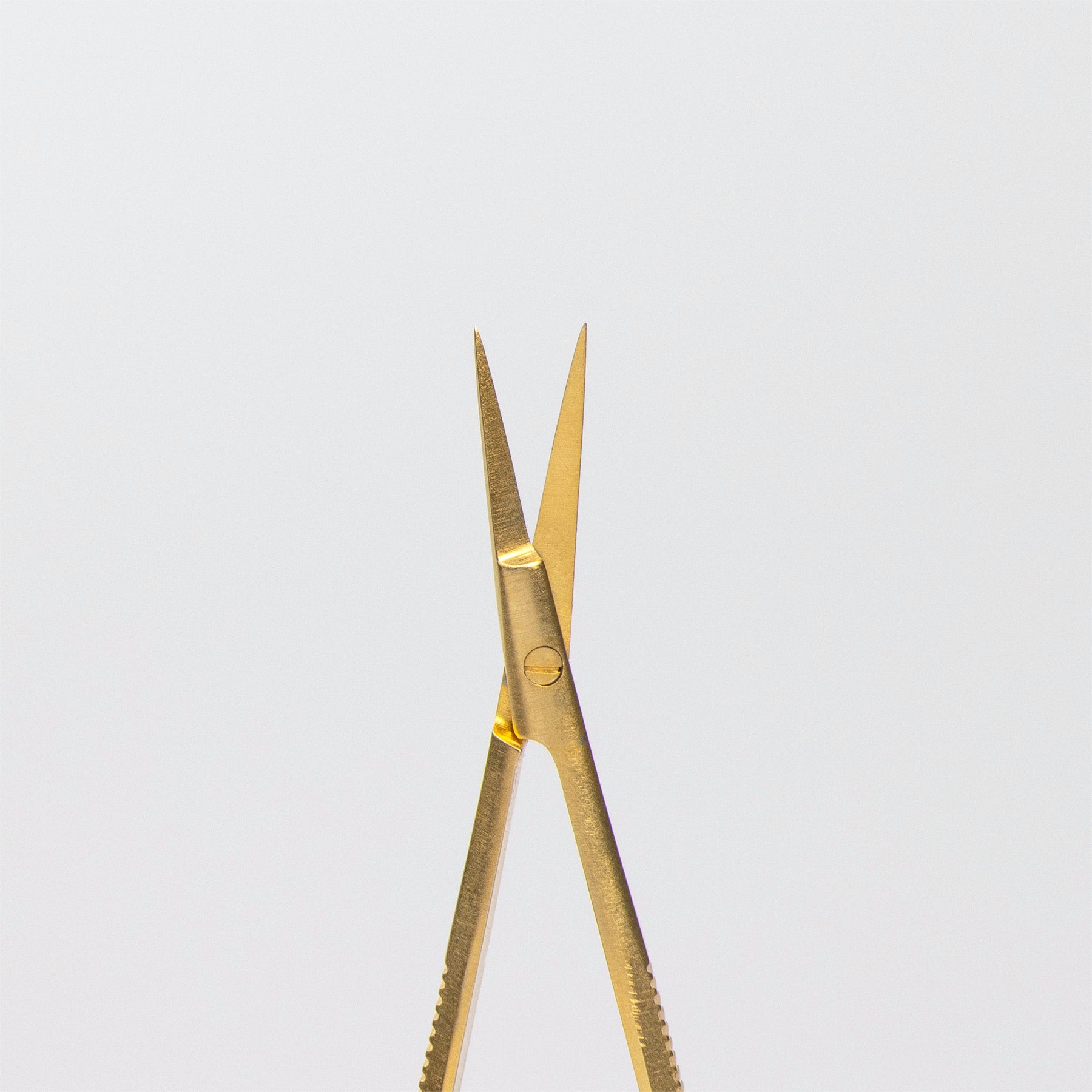 Gold Eyebrow Scissors with tip close up.