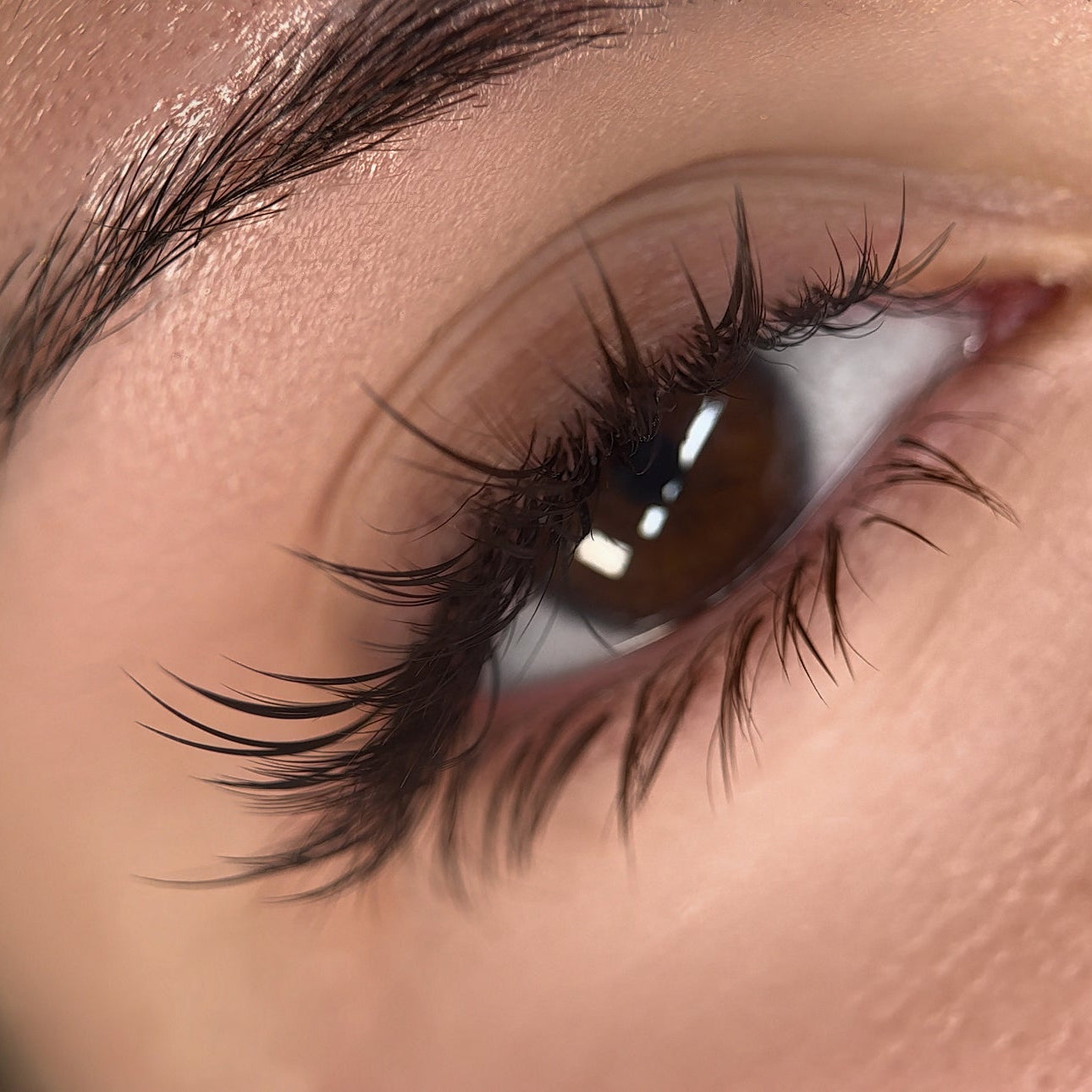 Austin, Texas, 2026 CURACORO x LASH HEROSIA Designed Lash Masterclass - In-person Training