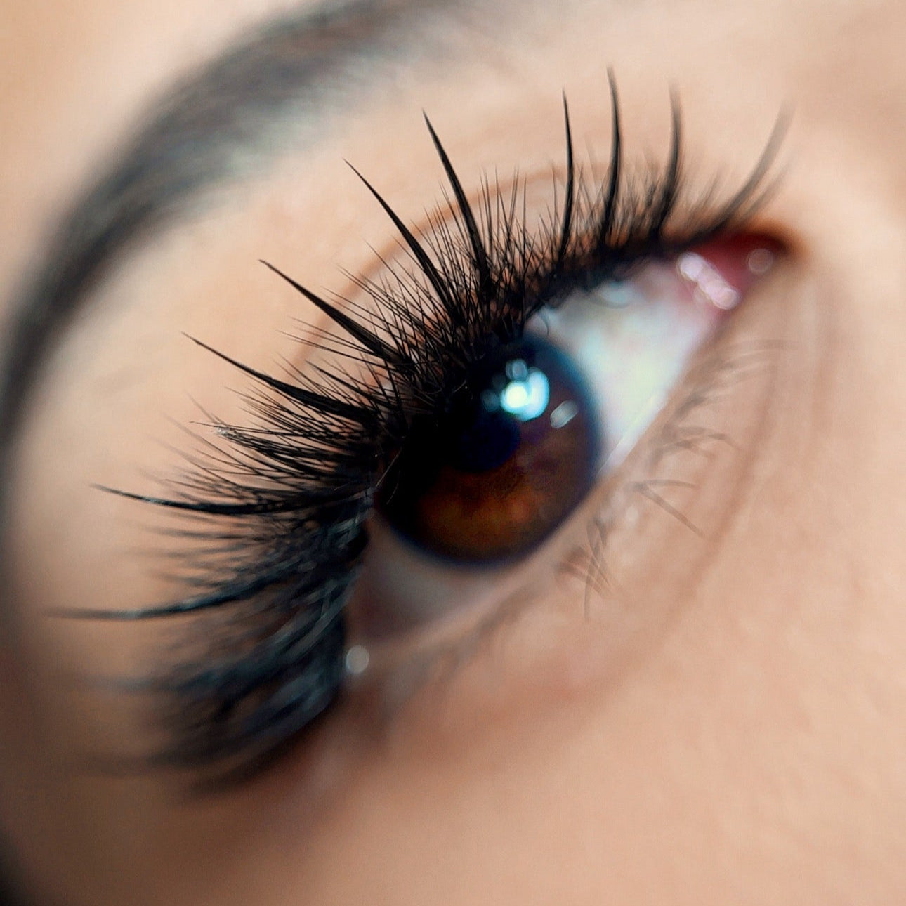 Lash Designed Masterclass| Curacoro x Lash Herosia | In-Person Training | San Diego, California | September 2026