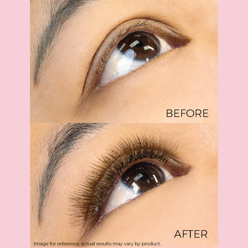 Brown Lashfolio Narrow Promade Fans Model Before & After