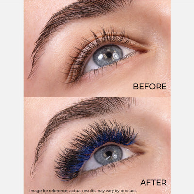 Blue Lashfolio Narrow Promade fans Model Before & After