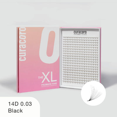 Curacoro XL 14D 0.03 black promade fans in gradient pink box, open to show neatly arranged rows on white background