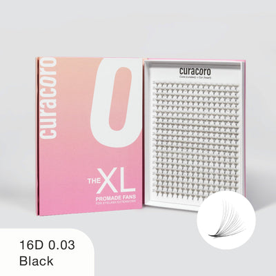 Curacoro XL 16D 0.03 black promade fans in gradient pink box, open to show neatly arranged rows on white background