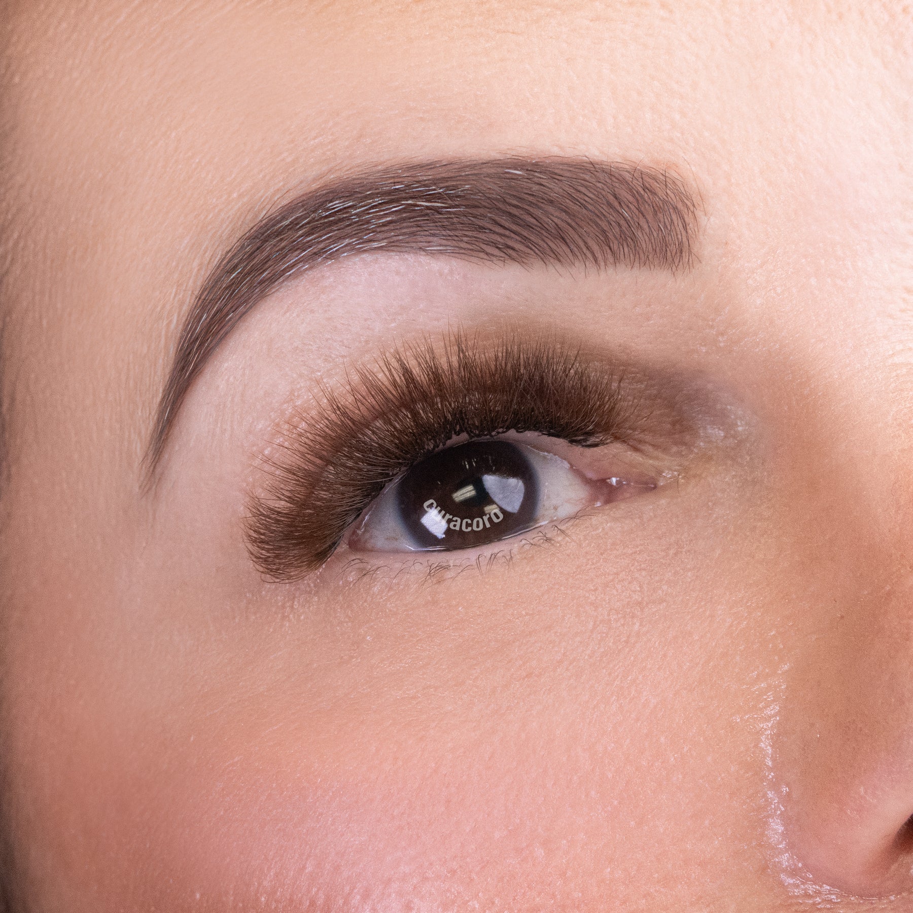 Chocolate Brown Lashfolio Narrow Promade Fans 5D (504 fans)