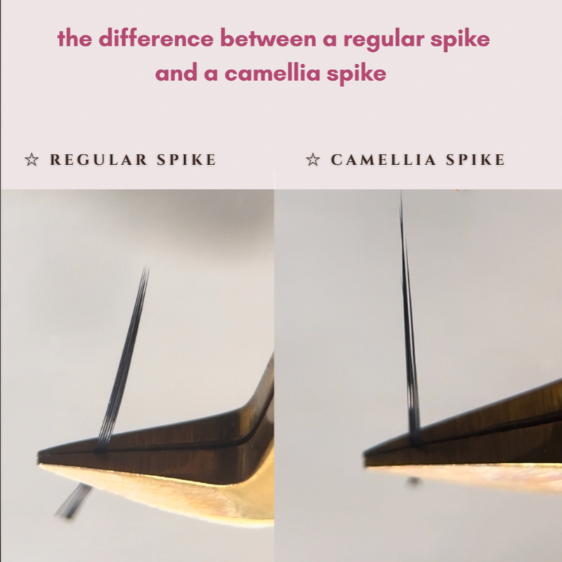 difference between a regular spike and a camellia spike