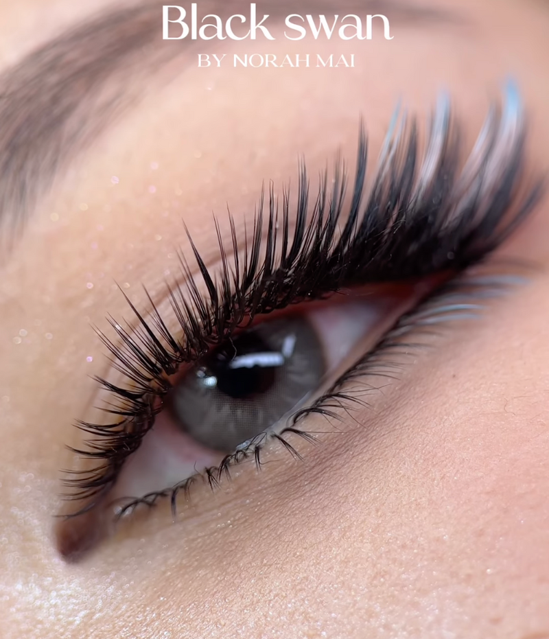 Austin, Texas, 2026 CURACORO x LASH HEROSIA Designed Lash Masterclass - In-person Training