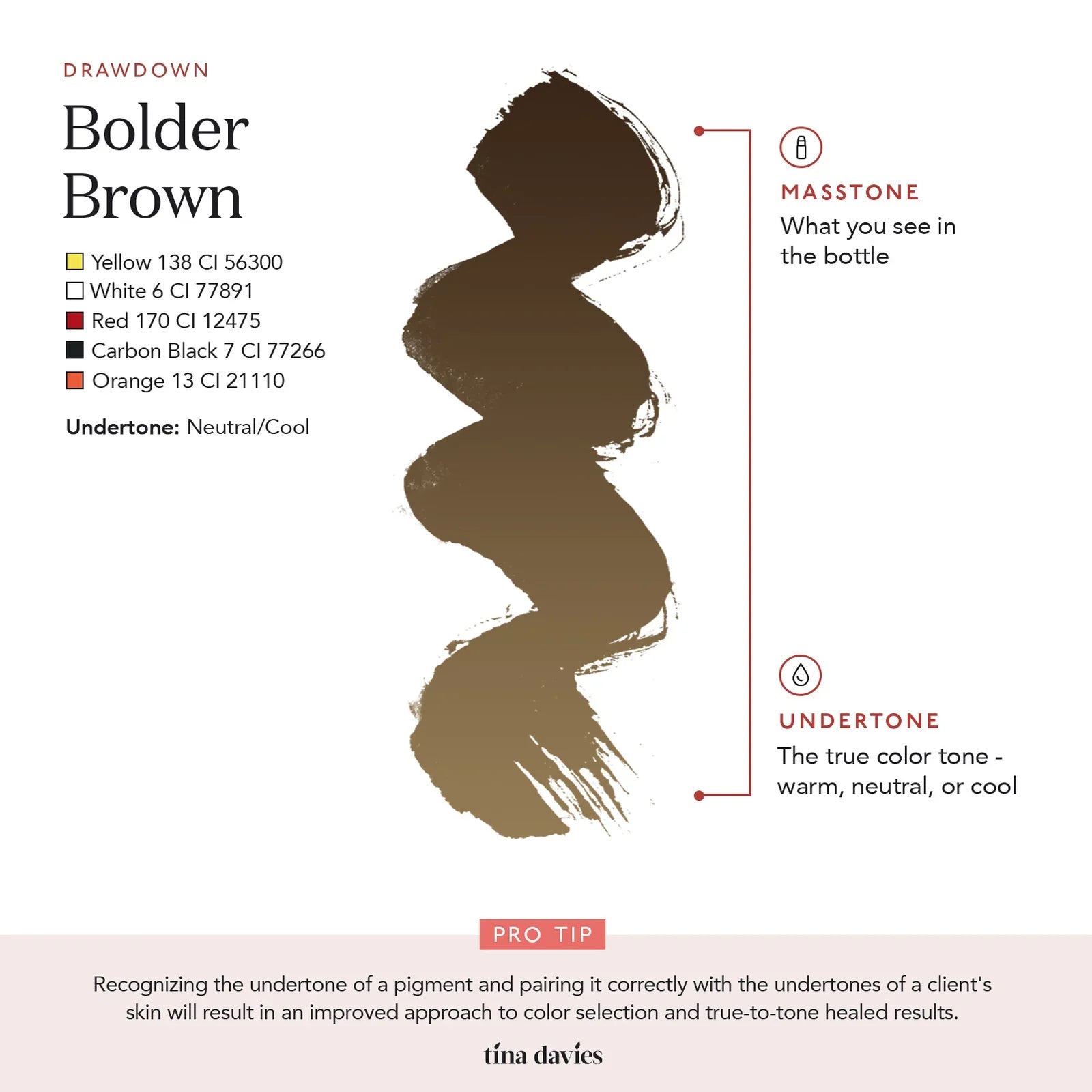 Infographic showing pigment undertones