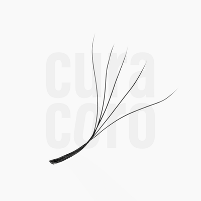 A single black 5D Clover lash extension with five delicate strands fanning out from a flat base, designed for creating voluminous lash looks.