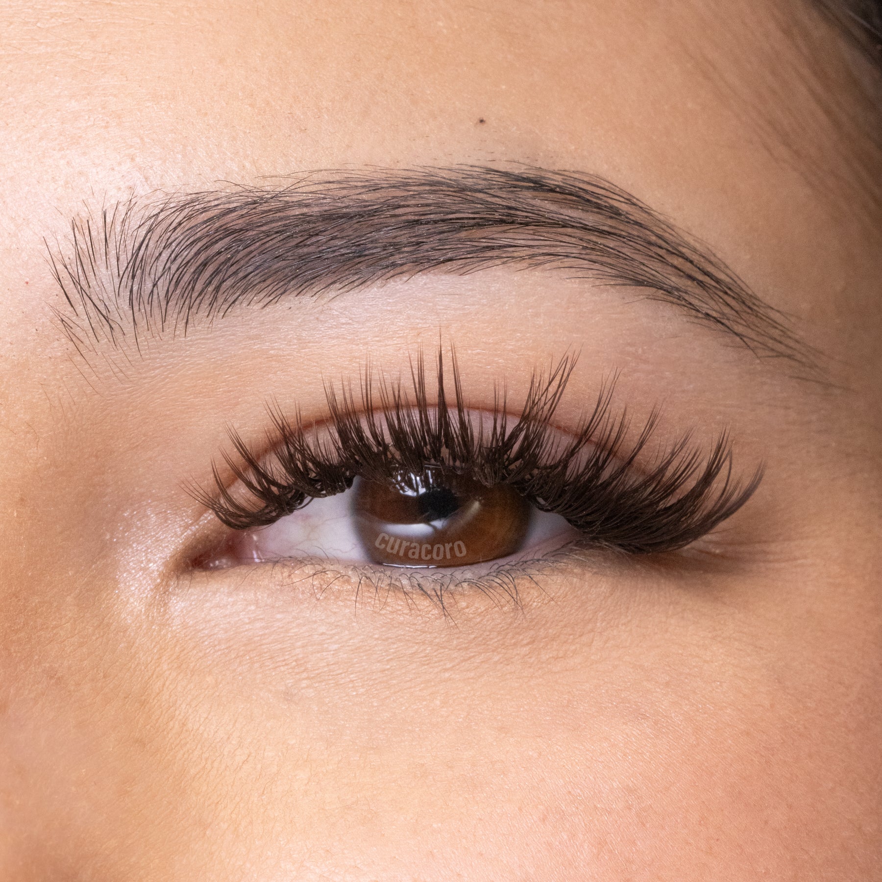 Velvet Super Mink 0.07 - Brown Black (Cafe Noir Brown)