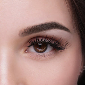 Wispy Design Lash Online Training